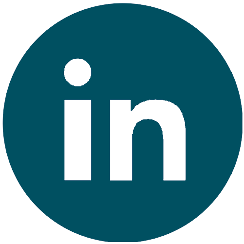 Icône LinkedIn