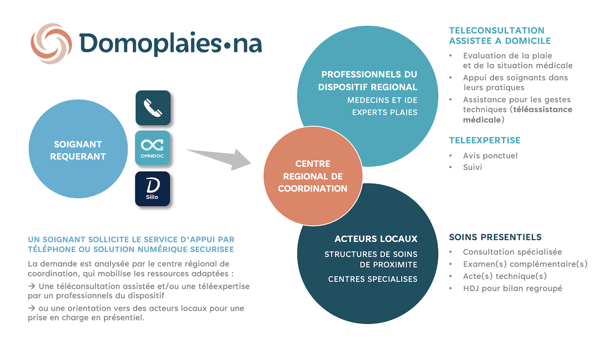 Modèle organisationnel Domoplaies NA