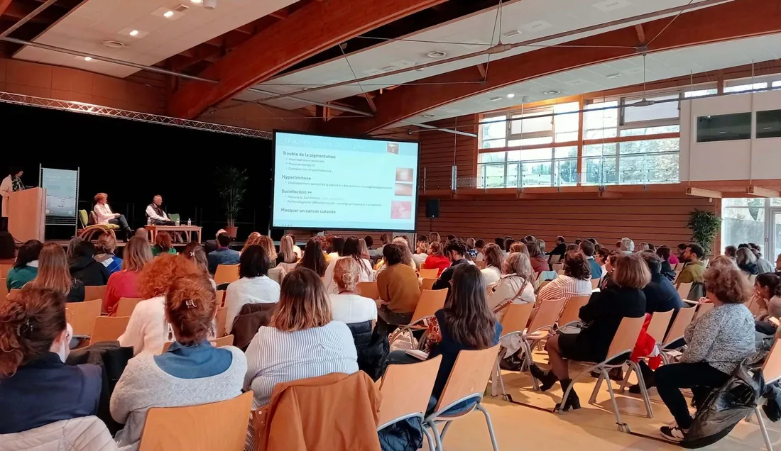 Une conférence des Journées Plaietile 2024